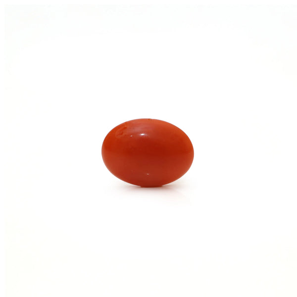 Japanese Red Coral - Moonga - 2.8 Carat - Pramogh