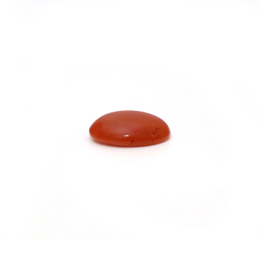 Japanese Red Coral - 2.8 Carat