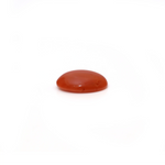 Japanese Red Coral - 2.8 Carat