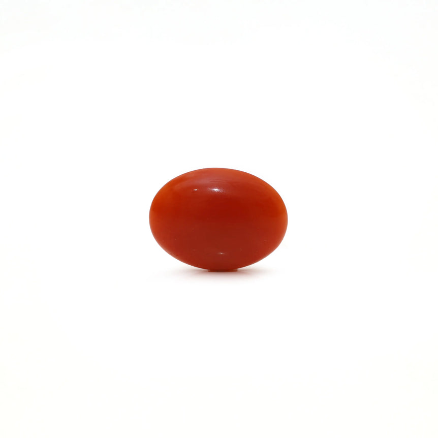 Japanese Red Coral - Moonga - 2.35 Carat - Pramogh