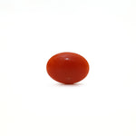 Japanese Red Coral - Moonga - 2.35 Carat - Pramogh