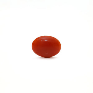 Japanese Red Coral - Moonga - 2.35 Carat - Pramogh