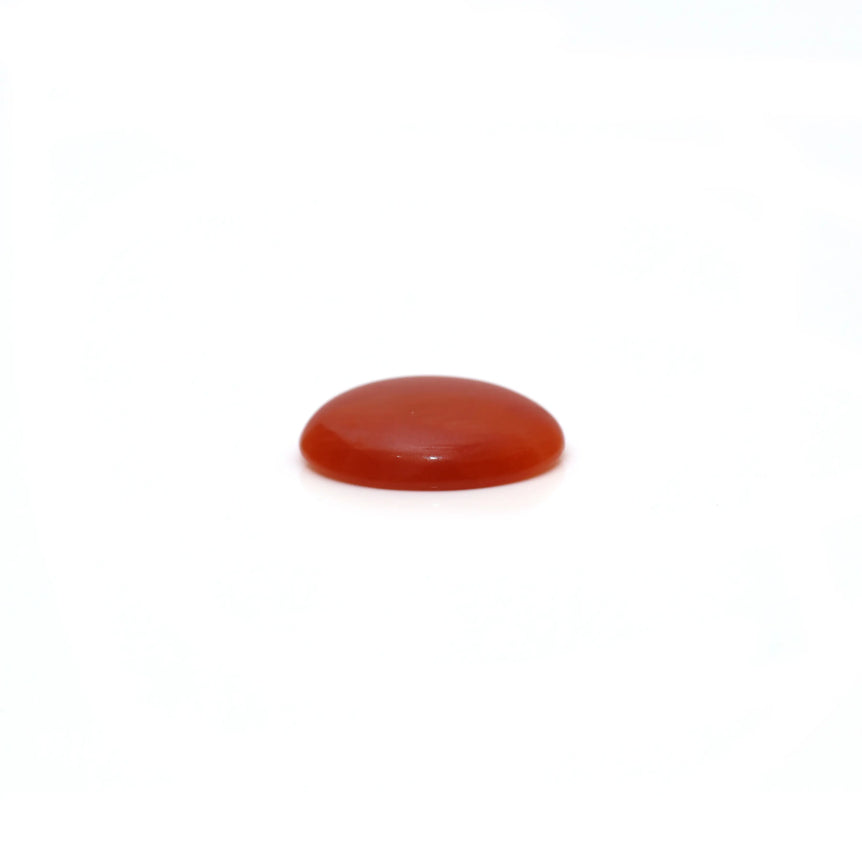 Japanese Red Coral - 2.35 Carat