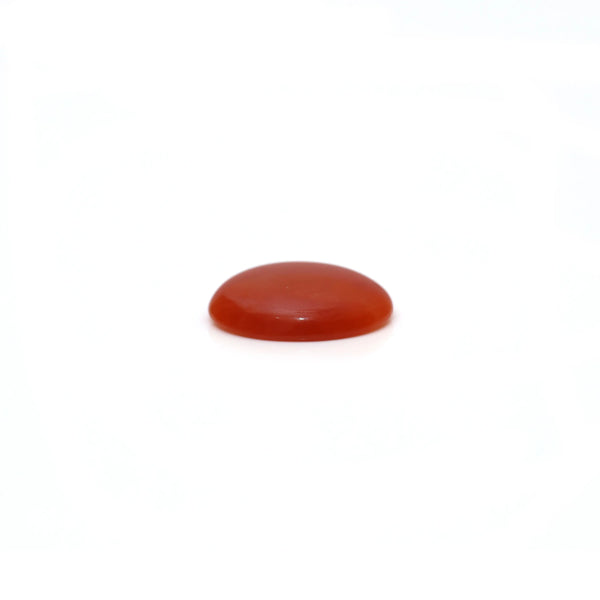 Japanese Red Coral - 2.35 Carat