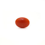 Japanese Red Coral - Moonga - 2.42 Carat - Pramogh