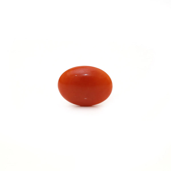 Japanese Red Coral - Moonga - 2.42 Carat - Pramogh