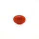 Japanese Red Coral - Moonga - 2.42 Carat - Pramogh