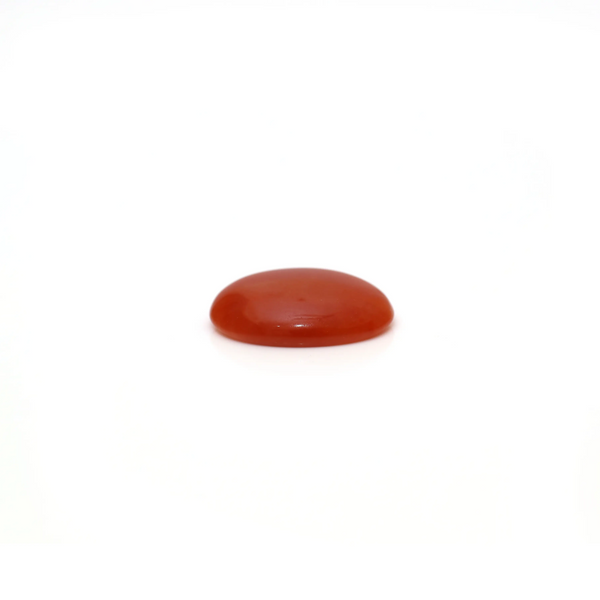 Japanese Red Coral - 2.42 Carat
