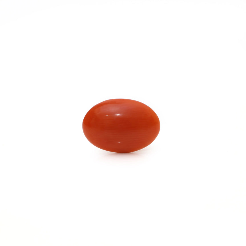 Japanese Red Coral - Moonga - 2.65 Carat - Pramogh