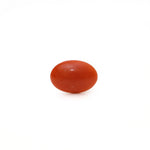 Japanese Red Coral - Moonga - 2.65 Carat - Pramogh