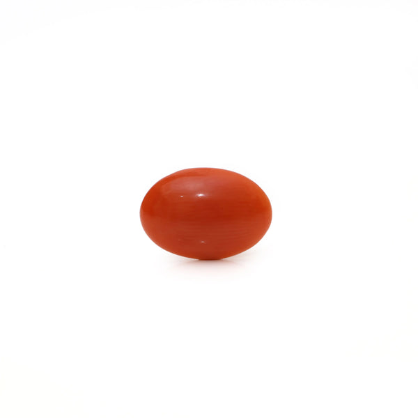 Japanese Red Coral - Moonga - 2.65 Carat - Pramogh