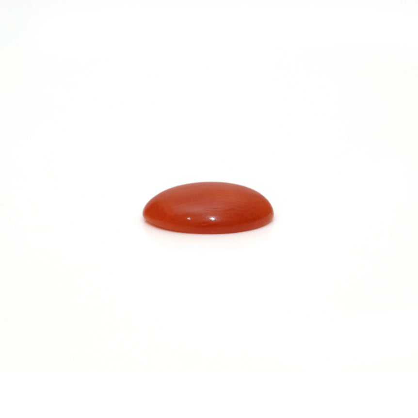 Japanese Red Coral - 2.65 Carat