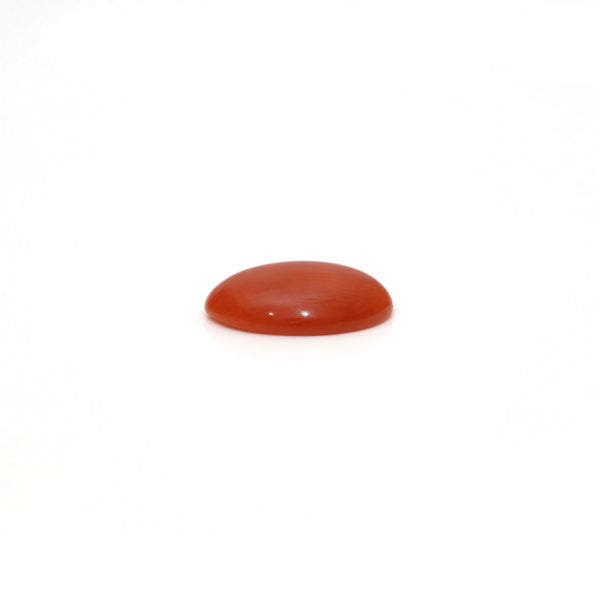 Japanese Red Coral - 2.65 Carat