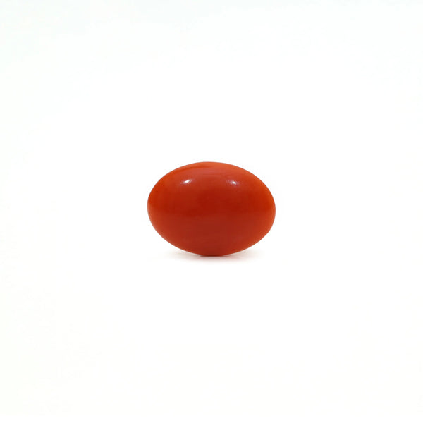 Japanese Red Coral - Moonga - 1.9 Carat - Pramogh