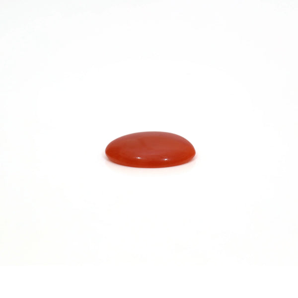 Japanese Red Coral - 1.9 Carat