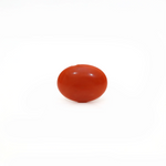 Japanese Red Coral - Moonga - 2.6 Carat - Pramogh