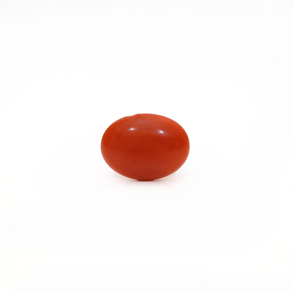 Japanese Red Coral - Moonga - 2.6 Carat - Pramogh