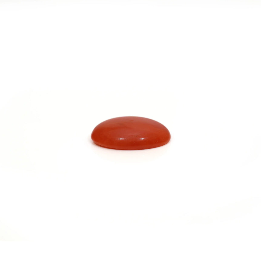 Japanese Red Coral - 2.6 Carat