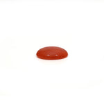 Japanese Red Coral - 2.6 Carat
