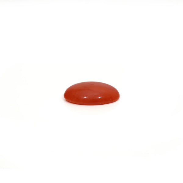 Japanese Red Coral - 2.6 Carat
