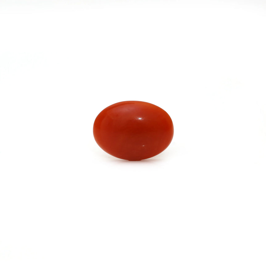 Japanese Red Coral - Moonga - 2.5 Carat - Pramogh
