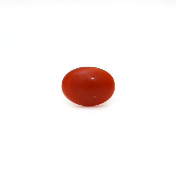 Japanese Red Coral - Moonga - 2.5 Carat - Pramogh