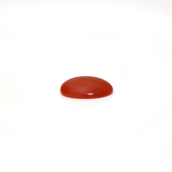 Japanese Red Coral - 2.5 Carat