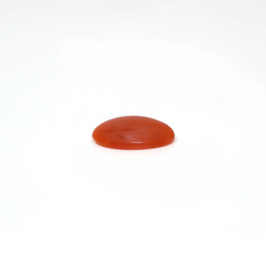 Japanese Red Coral - 2.63 Carat