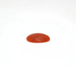 Japanese Red Coral - 2.63 Carat