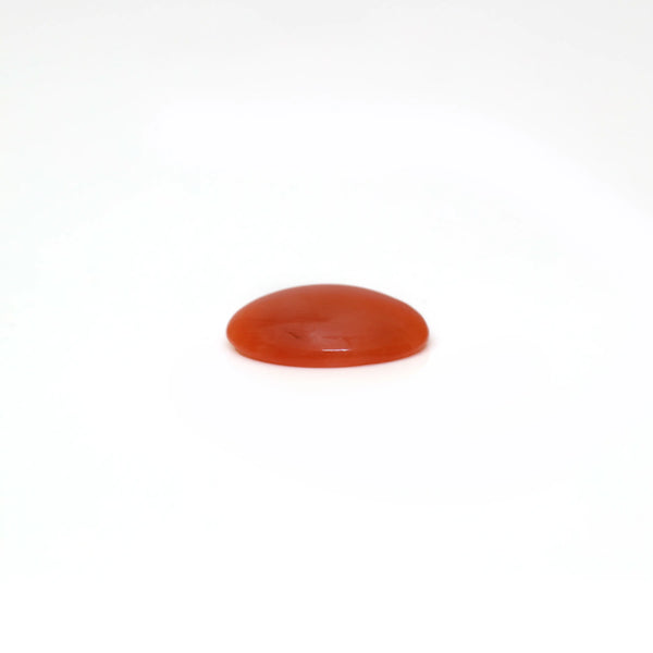 Japanese Red Coral - 2.63 Carat