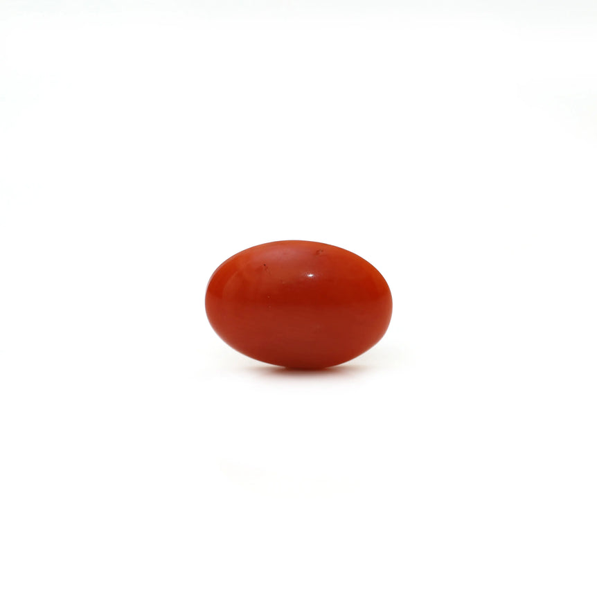 Japanese Red Coral - Moonga - 2.6 Carat - Pramogh