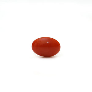 Japanese Red Coral - Moonga - 2.6 Carat - Pramogh