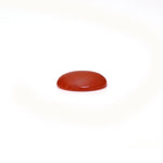 Japanese Red Coral - 2.6 Carat