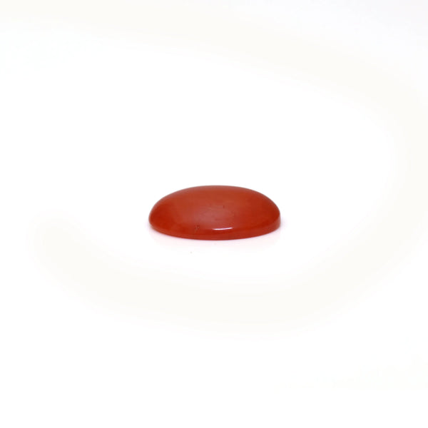 Japanese Red Coral - 2.6 Carat