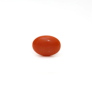 Japanese Red Coral - Moonga - 2.8 Carat - Pramogh