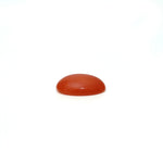 Japanese Red Coral - 2.8 Carat
