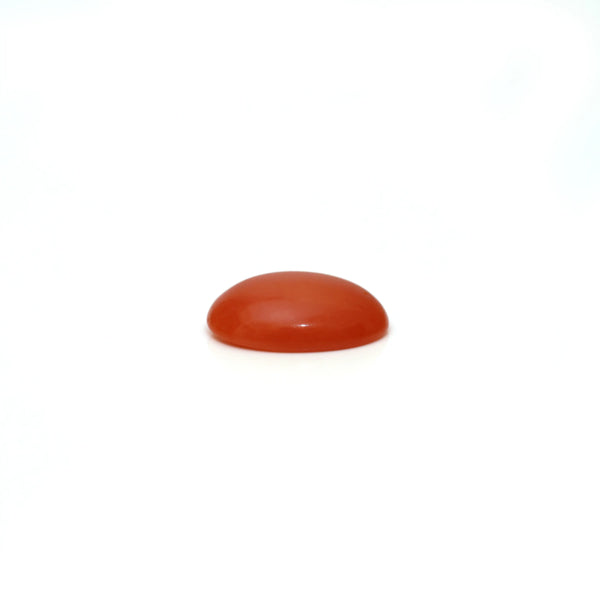 Japanese Red Coral - 2.8 Carat