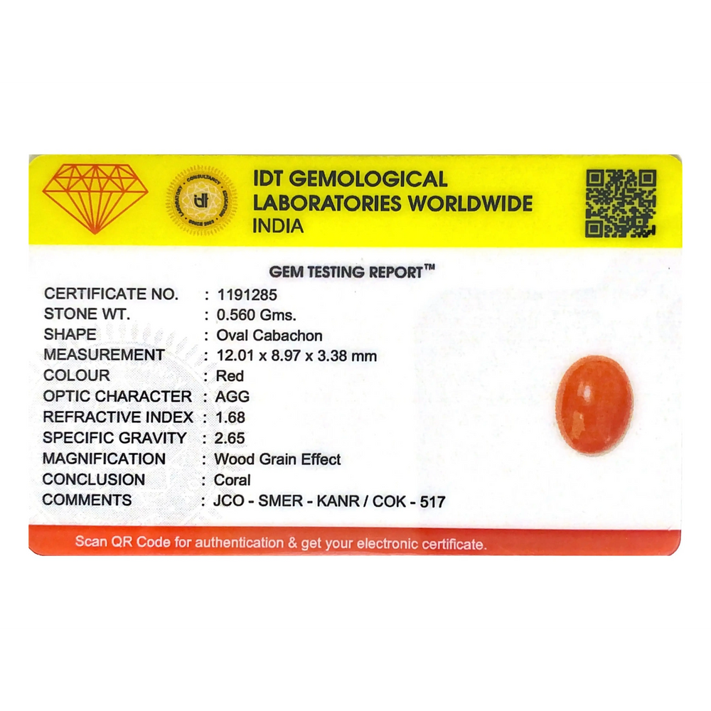 Japanese Red Coral - 2.8 Carat