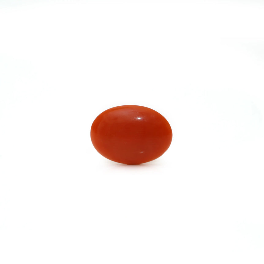 Japanese Red Coral - Moonga - 2.05 Carat - Pramogh