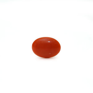 Japanese Red Coral - Moonga - 2.05 Carat - Pramogh