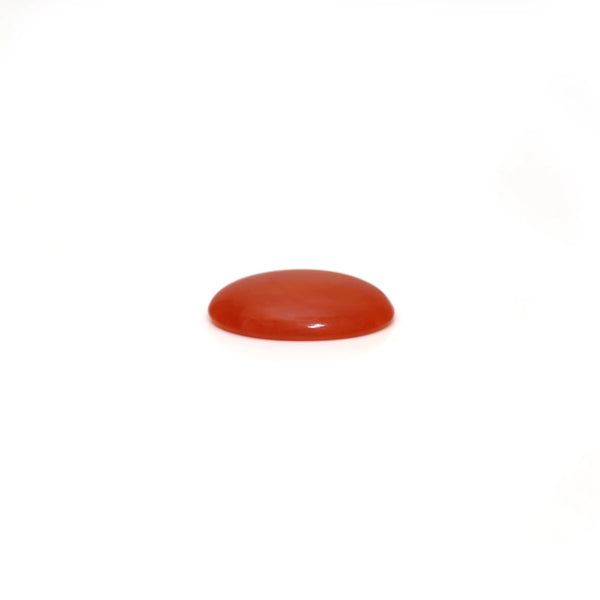 Japanese Red Coral - 2.05 Carat