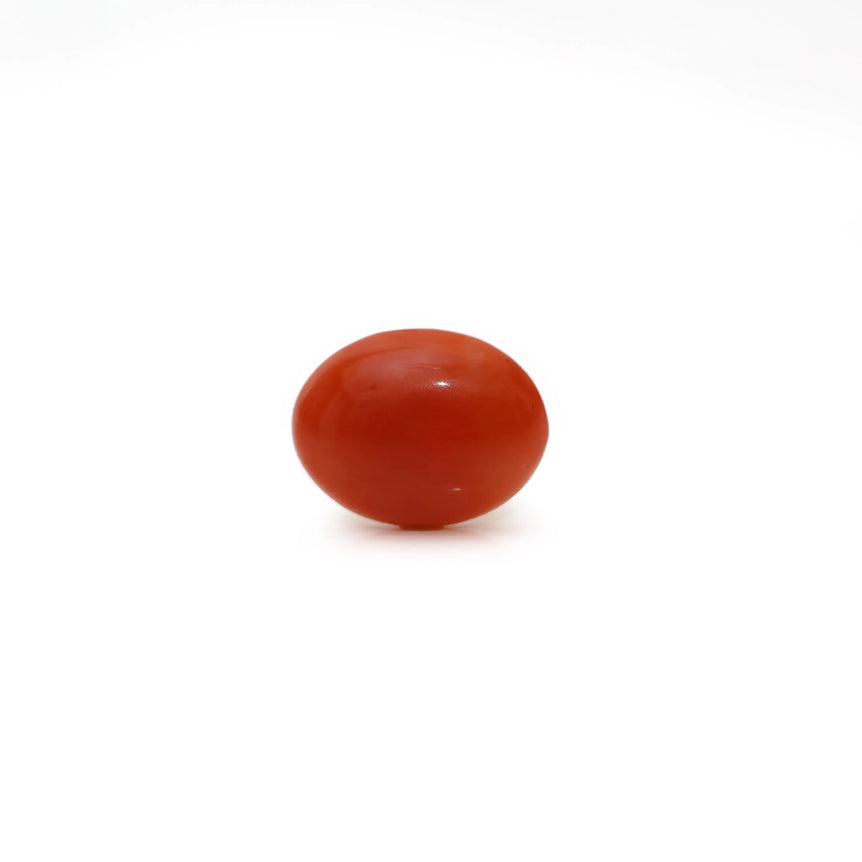 Japanese Red Coral - Moonga - 2.8 Carat - Pramogh