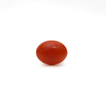 Japanese Red Coral - Moonga - 2.8 Carat - Pramogh