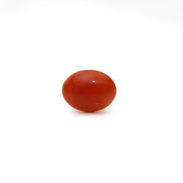 Japanese Red Coral - Moonga - 2.8 Carat - Pramogh
