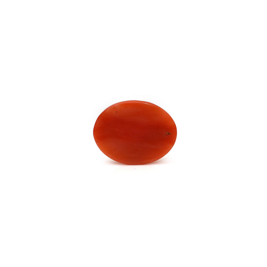 Japanese Red Coral - 2.8 Carat