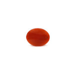 Japanese Red Coral - 2.8 Carat