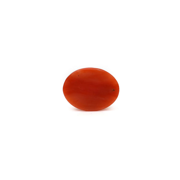 Japanese Red Coral - 2.8 Carat