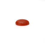 Japanese Red Coral - 2.8 Carat