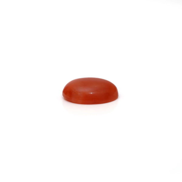 Japanese Red Coral - 2.8 Carat
