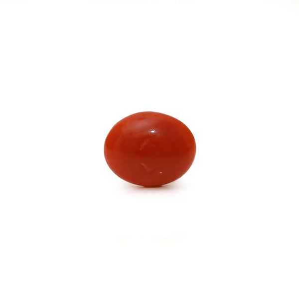 Japanese Red Coral - Moonga - 2.6 Carat - Pramogh